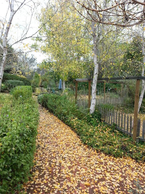 Redgum Hill Country Retreat Guest House Balingup Luaran gambar