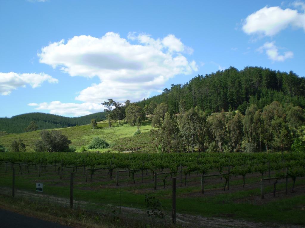 Redgum Hill Country Retreat Guest House Balingup Luaran gambar