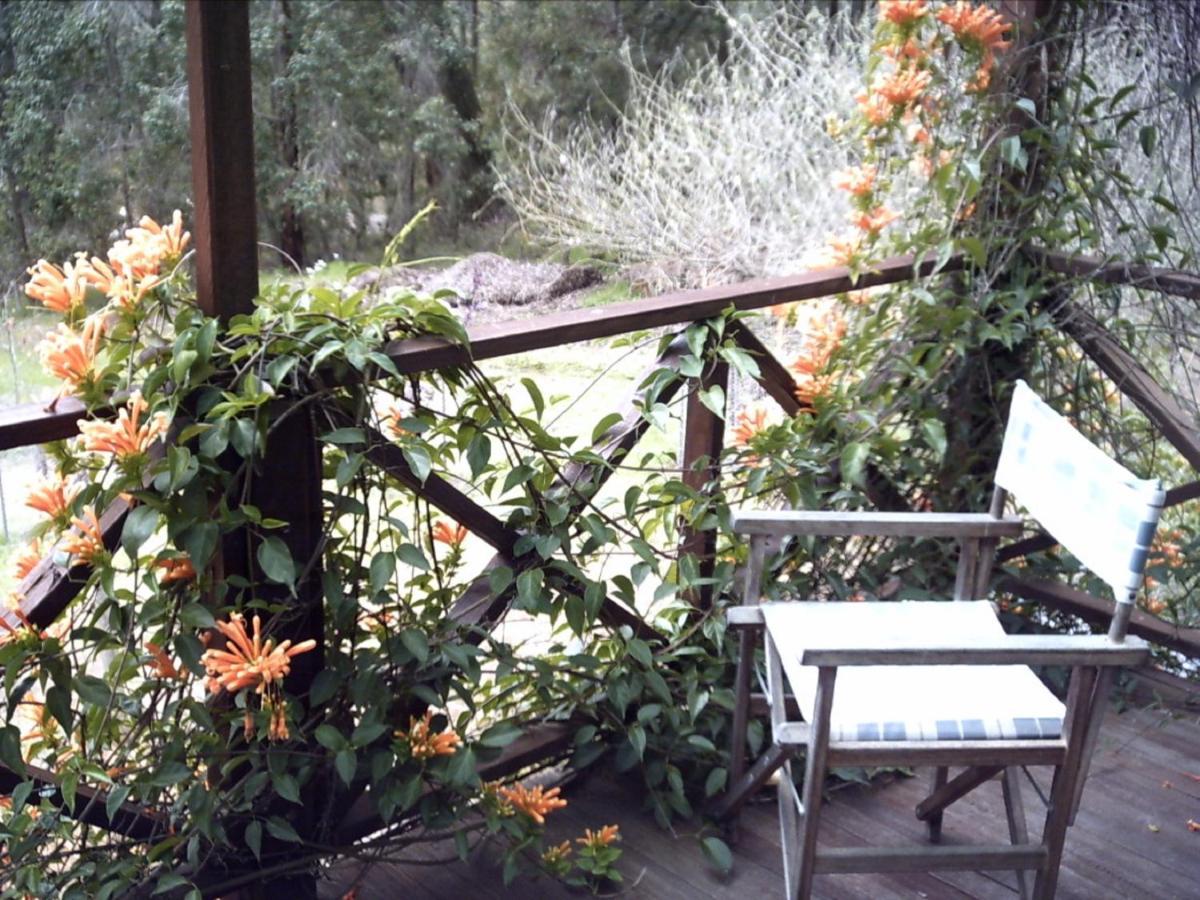 Redgum Hill Country Retreat Guest House Balingup Luaran gambar