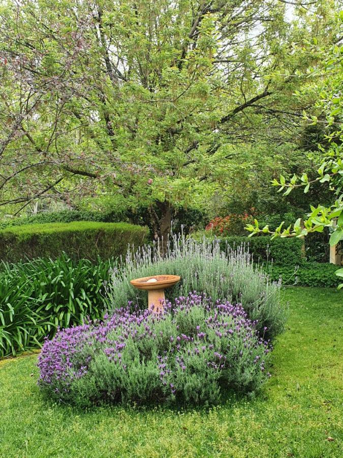 Redgum Hill Country Retreat Guest House Balingup Luaran gambar
