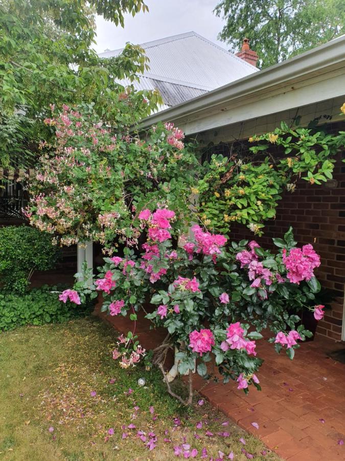 Redgum Hill Country Retreat Guest House Balingup Luaran gambar