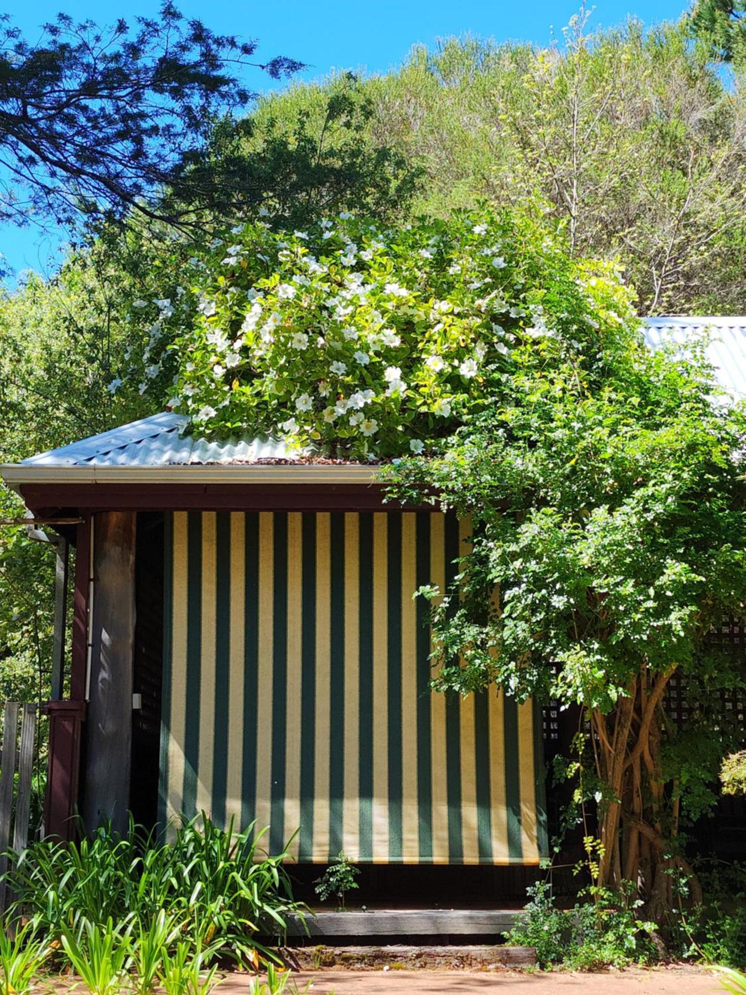 Redgum Hill Country Retreat Guest House Balingup Luaran gambar