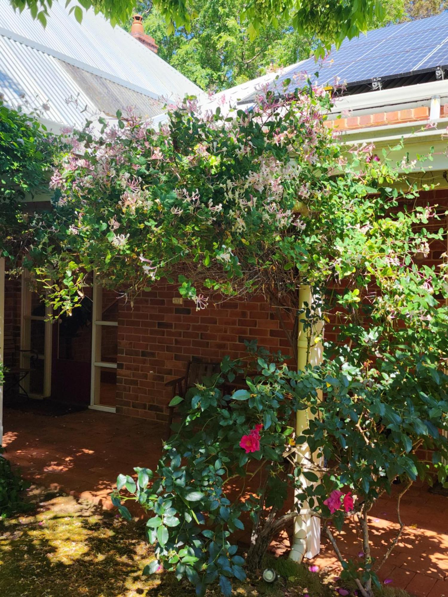 Redgum Hill Country Retreat Guest House Balingup Luaran gambar