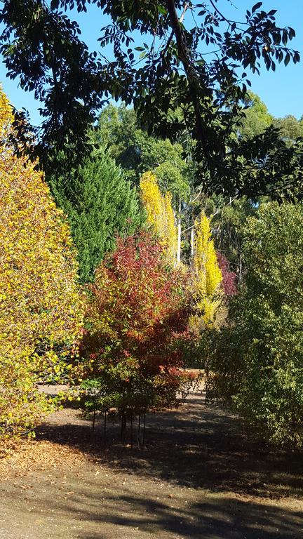 Redgum Hill Country Retreat Guest House Balingup Luaran gambar