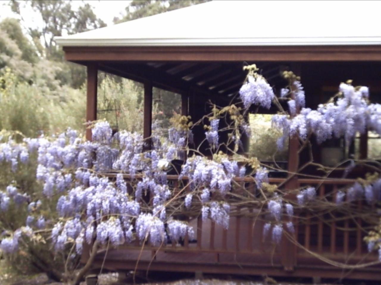 Redgum Hill Country Retreat Guest House Balingup Luaran gambar